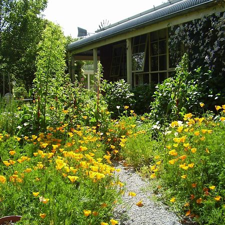 Holly Lane Mews Μοτέλ Yarra Glen Εξωτερικό φωτογραφία