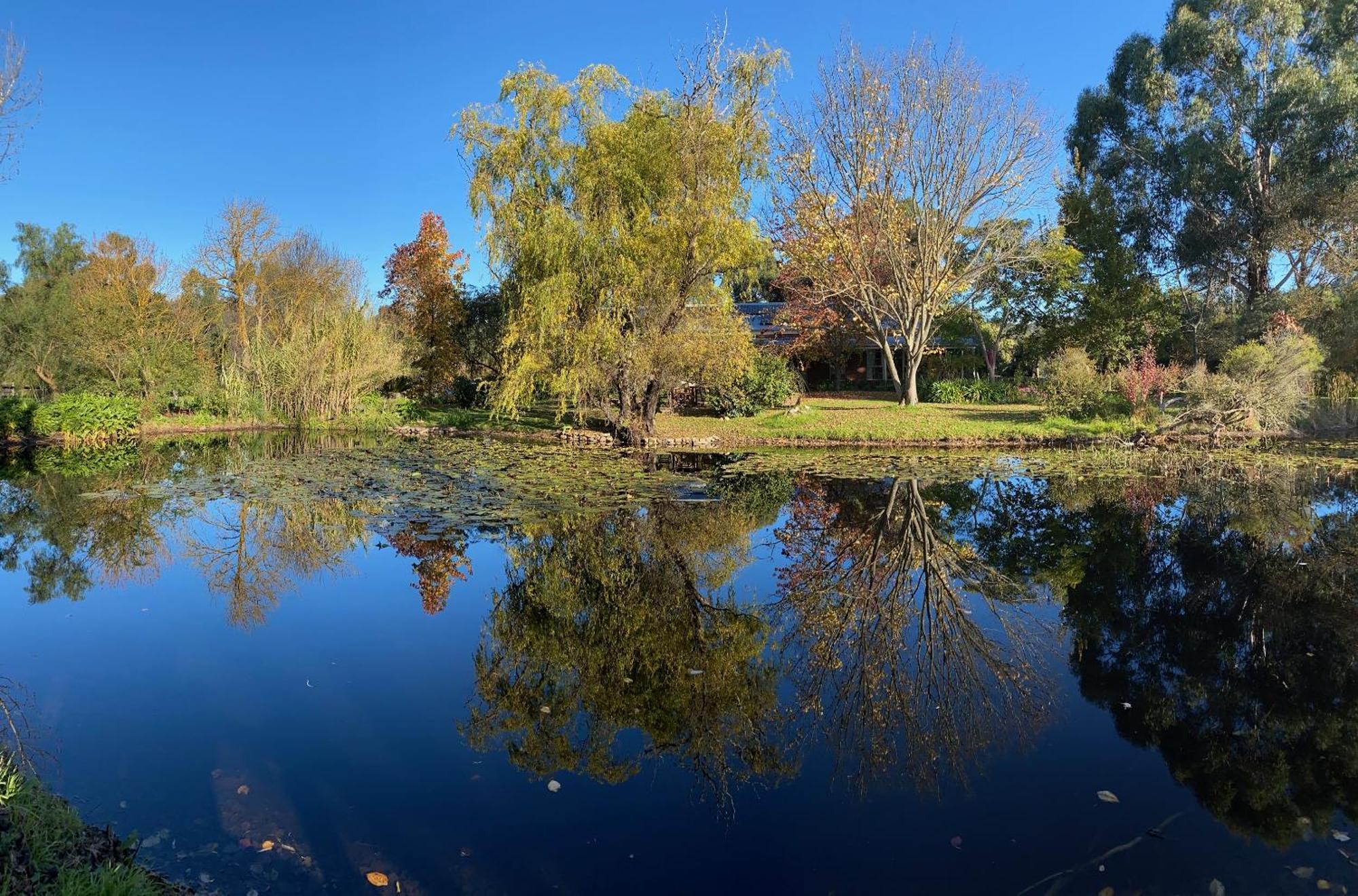 Holly Lane Mews Μοτέλ Yarra Glen Εξωτερικό φωτογραφία
