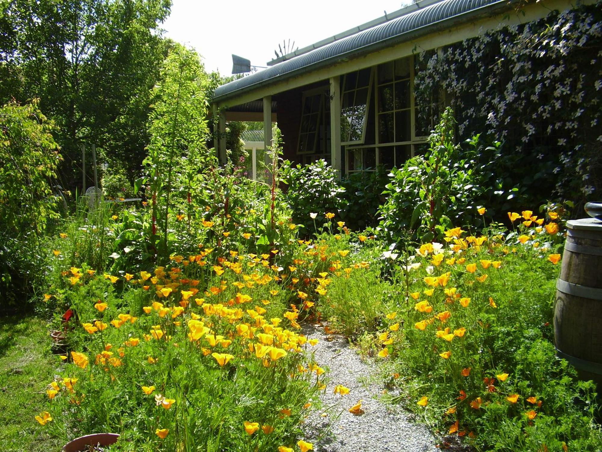 Holly Lane Mews Μοτέλ Yarra Glen Εξωτερικό φωτογραφία