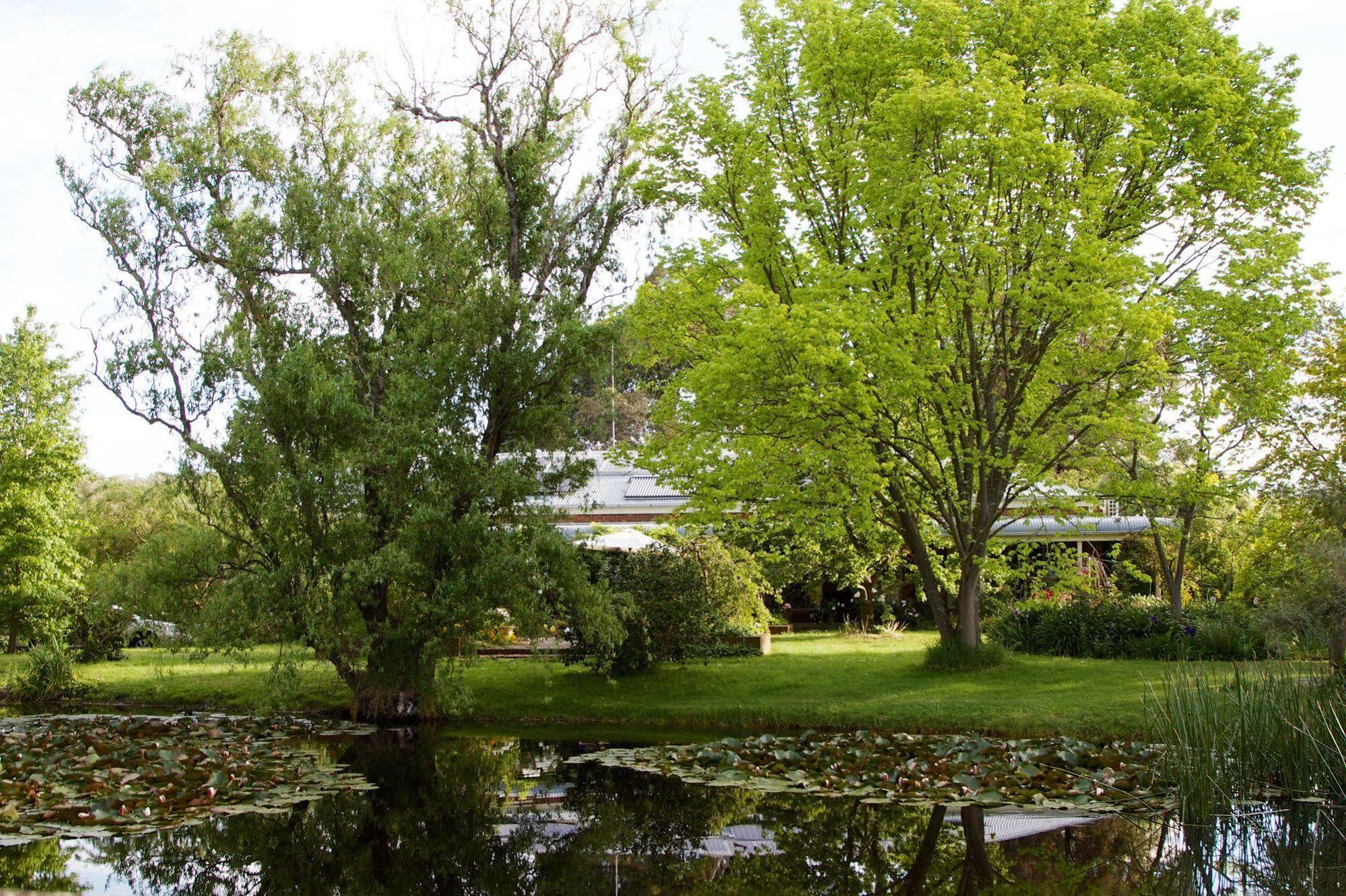 Holly Lane Mews Μοτέλ Yarra Glen Εξωτερικό φωτογραφία