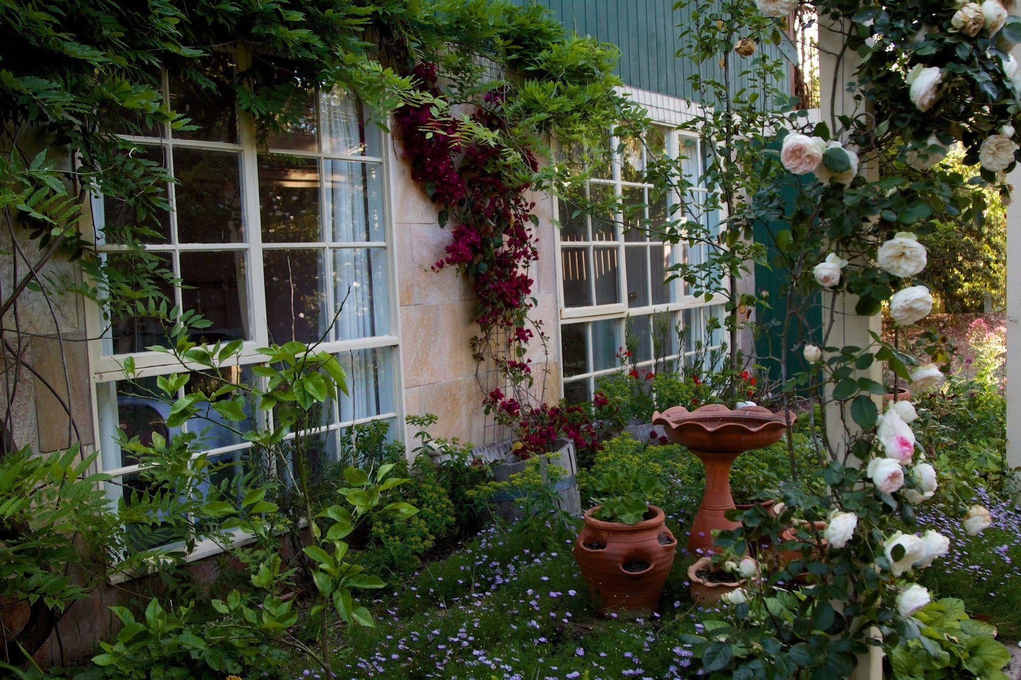 Holly Lane Mews Μοτέλ Yarra Glen Εξωτερικό φωτογραφία